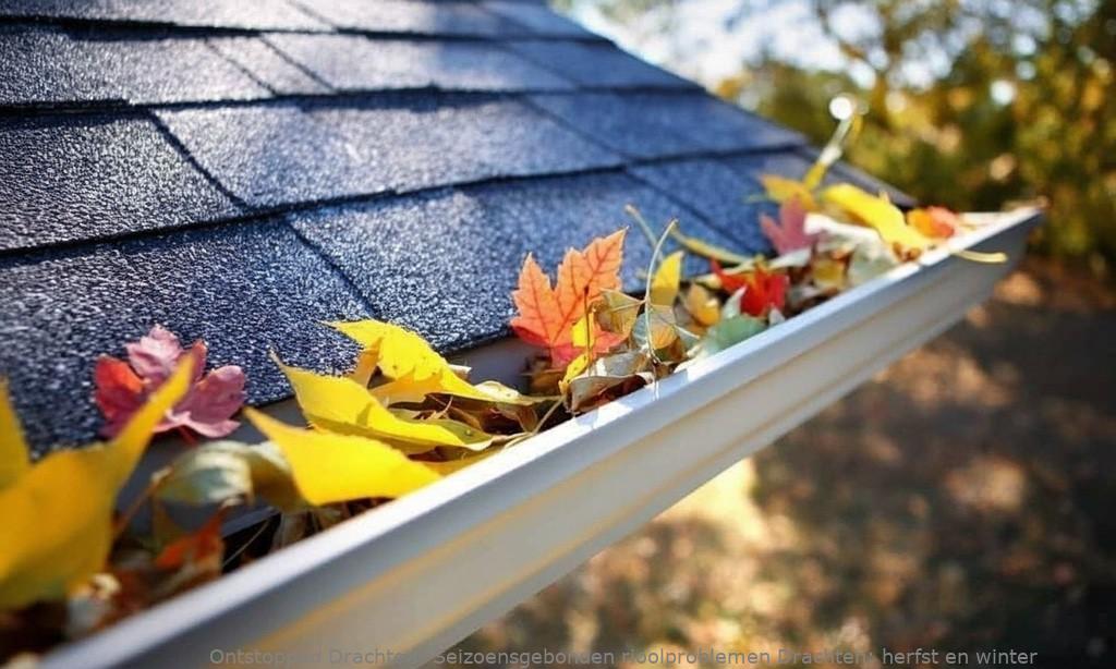 Seizoensgebonden rioolproblemen Drachten: herfst en winter